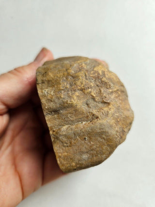 Petrified Wood, Polished Face, Beautiful Markings 149gm Genuine Gems Gemstone G2