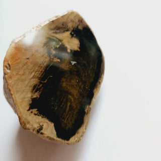 Petrified Wood, Polished Face, Beautiful Markings 149gm Genuine Gems Gemstone G2