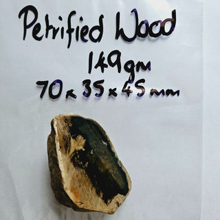 Petrified Wood, Polished Face, Beautiful Markings 149gm Genuine Gems Gemstone G2