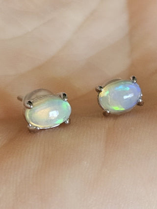 Solid Opal Stud Oval Earrings Australian Genuine Gems Silver RRP$160