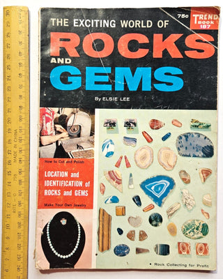 The Exciting World of Rocks and Gems Paperback Book Elsie Lee Trend 187 R1