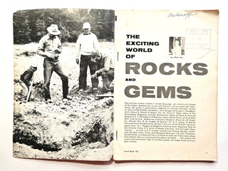 The Exciting World of Rocks and Gems Paperback Book Elsie Lee Trend 187 R1