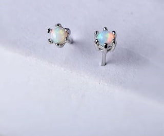 Solid Opal Stud Round Daisy Claw Earrings Australian Genuine Gems Silver RRP$160