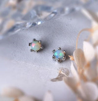 Solid Opal Stud Round Daisy Claw Earrings Australian Genuine Gems Silver RRP$160