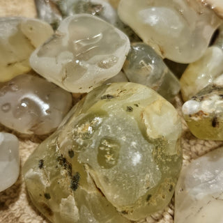 Prehnite Australian Sun Jade Natural Genuine GEMS CRYSTALS Rare Part Tumbled