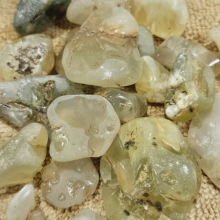 Prehnite Australian Sun Jade Natural Genuine GEMS CRYSTALS Rare Part Tumbled