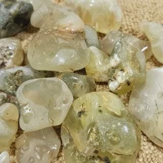 Prehnite Australian Sun Jade Natural Genuine GEMS CRYSTALS Rare Part Tumbled