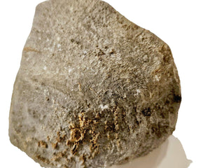 Fossilised Sea Sponge Incredibly Rare 1.17kg Genuine Gems Gemstone Fossil G2