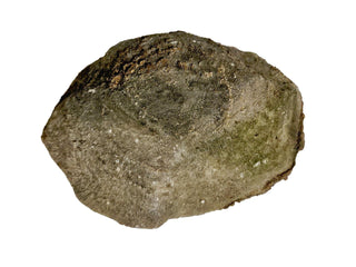 Fossilised Sea Sponge Incredibly Rare 1.17kg Genuine Gems Gemstone Fossil G2