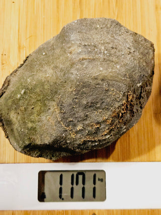 Fossilised Sea Sponge Incredibly Rare 1.17kg Genuine Gems Gemstone Fossil G2