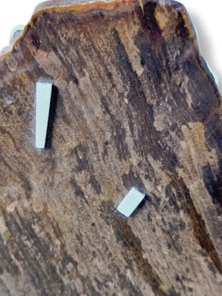 Petrified Wood Gemstone Slice Clock Quartz Movement Handcrafted Chinchilla Queensland D1