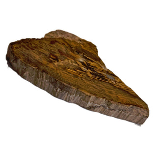 Petrified Wood Slice with Jasper 210gms Unique Polished Genuine Gems Gemstone G6