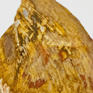 Petrified Wood Slice with Jasper 210gms Unique Polished Genuine Gems Gemstone G6