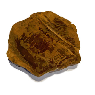 Petrified Wood Slice with Jasper 380gms Unique Polished Genuine Gems Gemstone G6