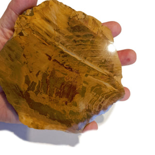 Petrified Wood Slice with Jasper 380gms Unique Polished Genuine Gems Gemstone G6