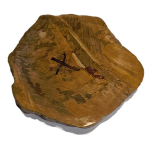 Petrified Wood Slice with Jasper 380gms Unique Polished Genuine Gems Gemstone G6