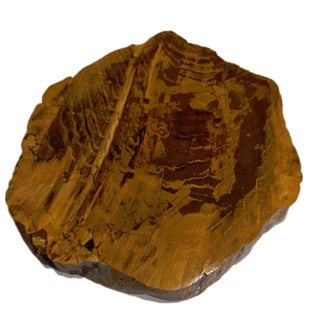 Petrified Wood Slice with Jasper 380gms Unique Polished Genuine Gems Gemstone G6