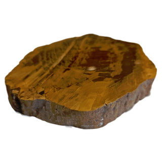 Petrified Wood Slice with Jasper 380gms Unique Polished Genuine Gems Gemstone G6