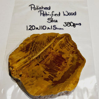 Petrified Wood Slice with Jasper 380gms Unique Polished Genuine Gems Gemstone G6