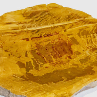 Petrified Wood Slice with Jasper 380gms Unique Polished Genuine Gems Gemstone G6