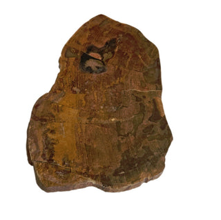 Petrified Wood Slice with Jasper 420gms Unique Polished Genuine Gems Gemstone G6