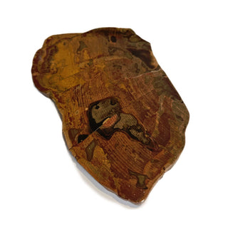 Petrified Wood Slice with Jasper 420gms Unique Polished Genuine Gems Gemstone G6