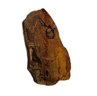 Petrified Wood Slice with Jasper 420gms Unique Polished Genuine Gems Gemstone G6