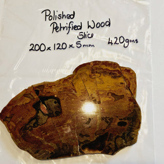 Petrified Wood Slice with Jasper 420gms Unique Polished Genuine Gems Gemstone G6
