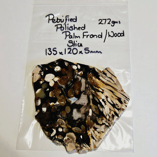 Petrified / Peanut Wood Slice 272gms Palm Polished Genuine Gems Gemstone G6
