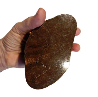 Red Jasper with Silver Hematite Specimen Polished 777gs Genuine Gems Gemstone G6