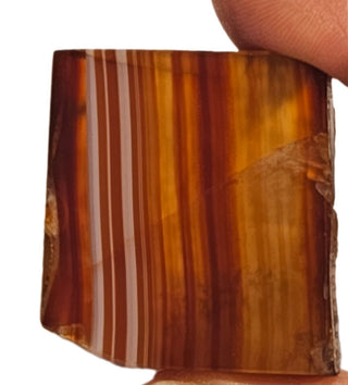 Orange Agate Slice Beautiful banding Colours 32gms Genuine Gems Gemstone G6