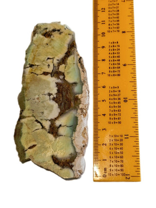 Citron Chrysoprase Slice Magnificent Colours 63gms Genuine Gems Gemstone G6