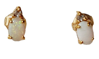 Solid Opal Gold Earrings Australian Genuine Gems  RRP$160