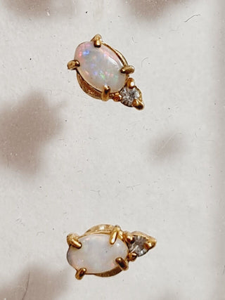 Solid Opal Gold Earrings Australian Genuine Gems  RRP$160