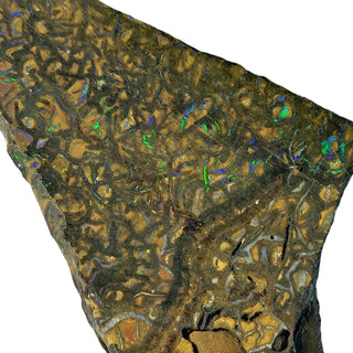Opal Matrix Triangle 5gm 35x20x5mm Genuine Gems Gemstone Colour Flashes G3