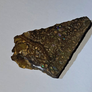Opal Matrix Triangle 5gm 35x20x5mm Genuine Gems Gemstone Colour Flashes G3