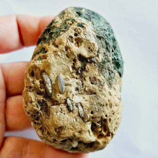 Native Malachite Natural Egg + Chalcedony Genuine Gems Gemstone Unique 224gm G3