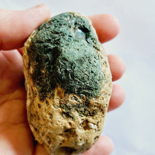 Native Malachite Natural Egg + Chalcedony Genuine Gems Gemstone Unique 224gm G3
