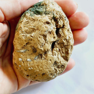 Native Malachite Natural Egg + Chalcedony Genuine Gems Gemstone Unique 224gm G3