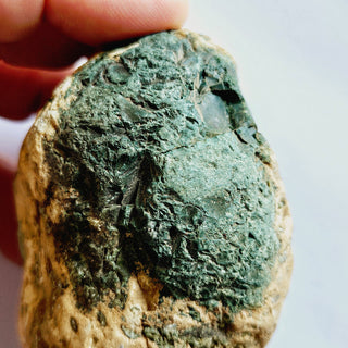 Native Malachite Natural Egg + Chalcedony Genuine Gems Gemstone Unique 224gm G3
