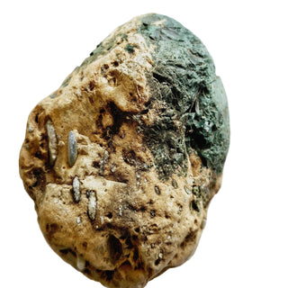 Native Malachite Natural Egg + Chalcedony Genuine Gems Gemstone Unique 224gm G3