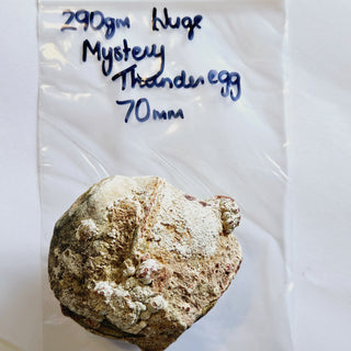 Mystery HUGE 290gms Natural Thunderegg Cut open to see Genuine Gems Gemstone G3