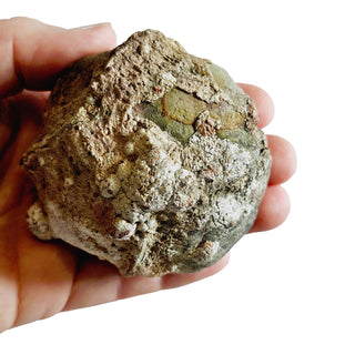 Mystery HUGE 290gms Natural Thunderegg Cut open to see Genuine Gems Gemstone G3