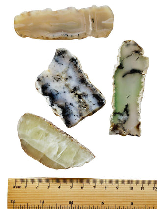 4 x Slices Prehnite Agate Opalite Chrysoprase Genuine Gems Gemstone G3