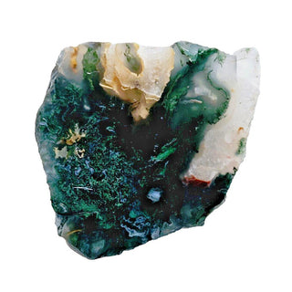 Moss Agate Incredible patterns & Colours 184gms 60x50mm Genuine Gems Gemstone G3