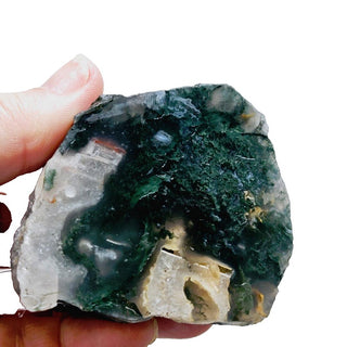 Moss Agate Incredible patterns & Colours 184gms 60x50mm Genuine Gems Gemstone G3