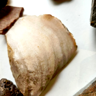 4.8kgs Gems Fossil Opal Tiger Eye Calcite Jasper Mica Petrified Wood Genuine G3