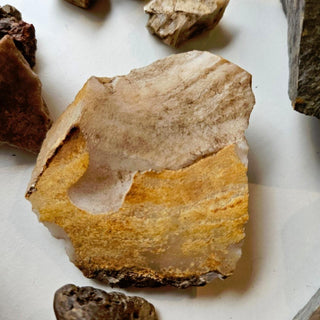 4.8kgs Gems Fossil Opal Tiger Eye Calcite Jasper Mica Petrified Wood Genuine G3