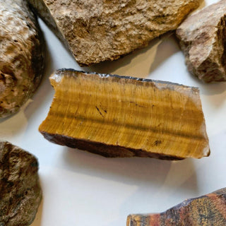 4.8kgs Gems Fossil Opal Tiger Eye Calcite Jasper Mica Petrified Wood Genuine G3