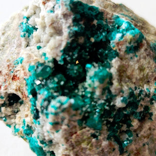 Beautiful Dioptase Specimen – Green Crystals – 80g Natural Mineral Genuine G1